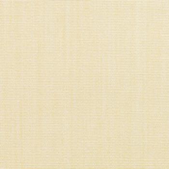 vellum canvas